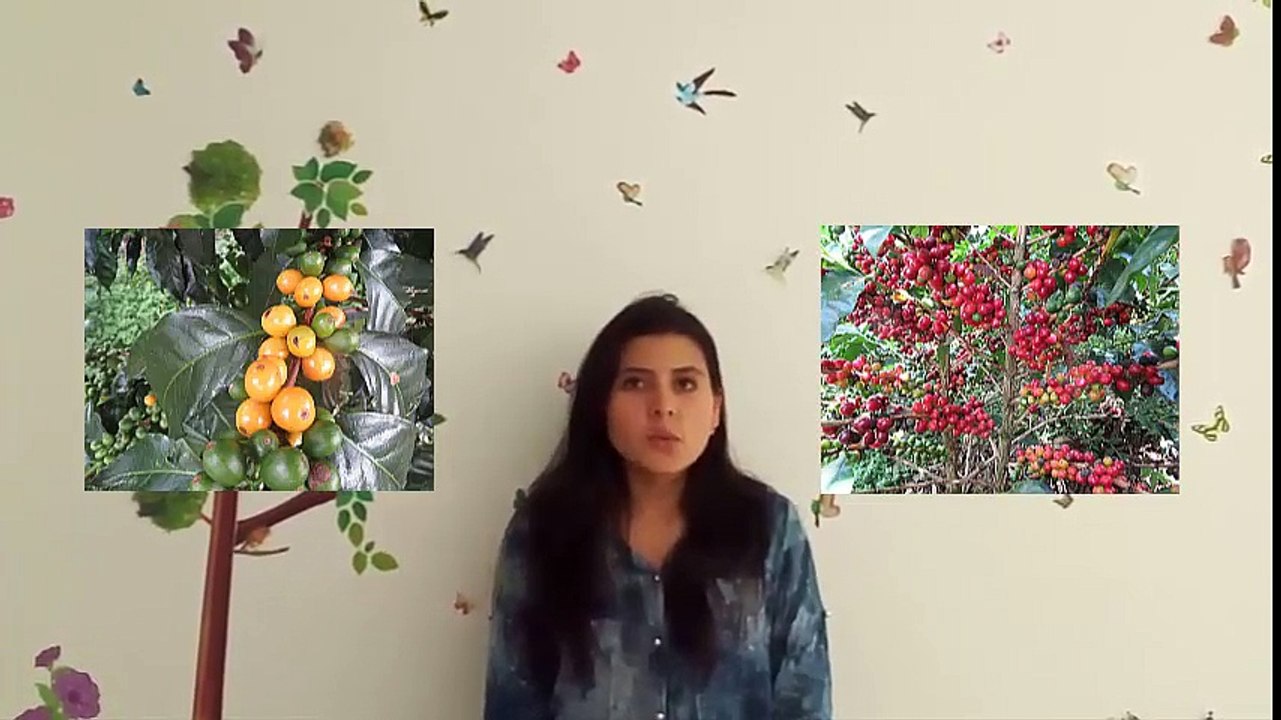Au pair application video - China