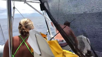 Our Luck Has Changed!