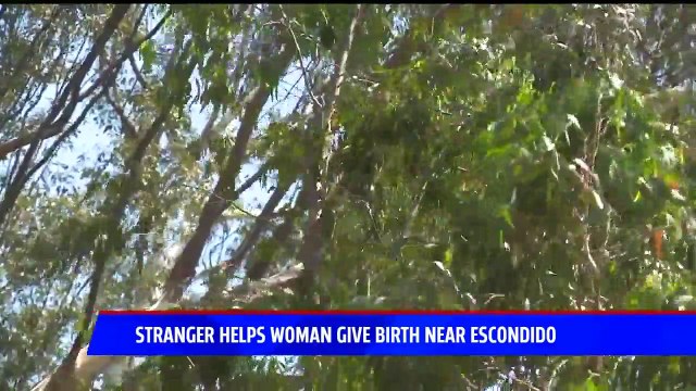 Good Samaritan Helps Woman She Found Giving Birth on Side of the Road