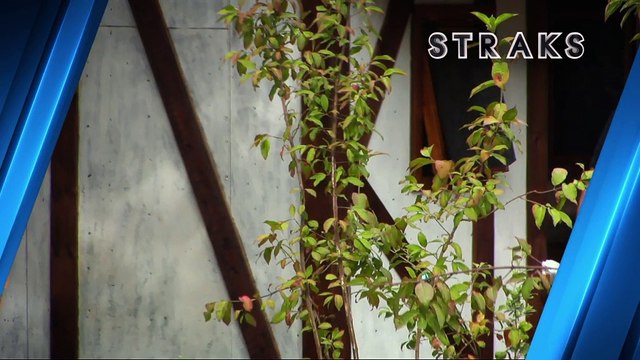 Aflevering 1215 - maandag 3 september 2018