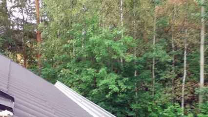 Aug 29 2018 DL3
