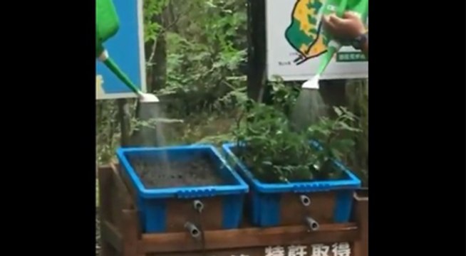 Karadeniz'deki sellere doğal afet diyenler bu görüntüleri izlesin