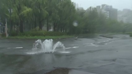 태풍 '제비' 日 강타 6명 사망...간사이공항 폐쇄 / YTN