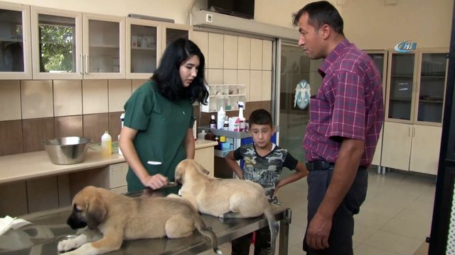 Selçuk Üniversitesinden Avrupa standartlarında ikinci hayvan hastanesi