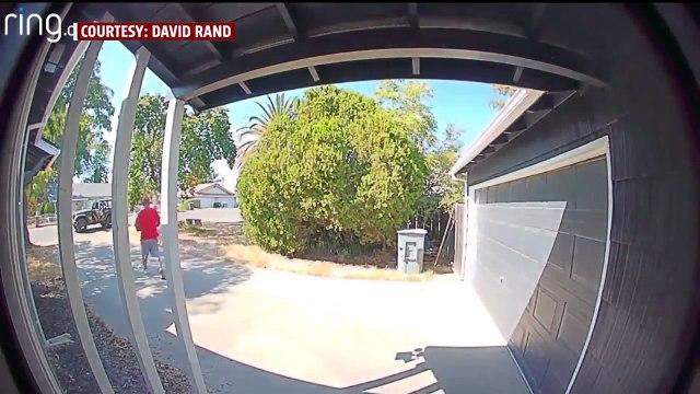 Package Thief Caught on Camera Brazenly Stealing Parcel from Home