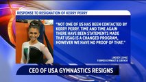 CEO of USA Gymnastics Kerry Perry Resigns