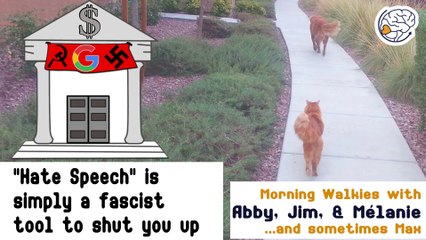 "Hate Speech" is simply a fascist tool to shut you up -Walkies with Abby