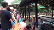 - Dünyanın En İlginç Yetimhanesi: Fil Yetimhanesi- Sri Lanka’da Kurulan Sıra Dışı ‘fil Yetimhanesi’ Görenleri Kendine Hayran Bırakıyor- İsteyen Turistler Buradan Bir Fili Evlatlık Edinerek Yıl Boyunca Tüm Masraflarını Karşılıyor