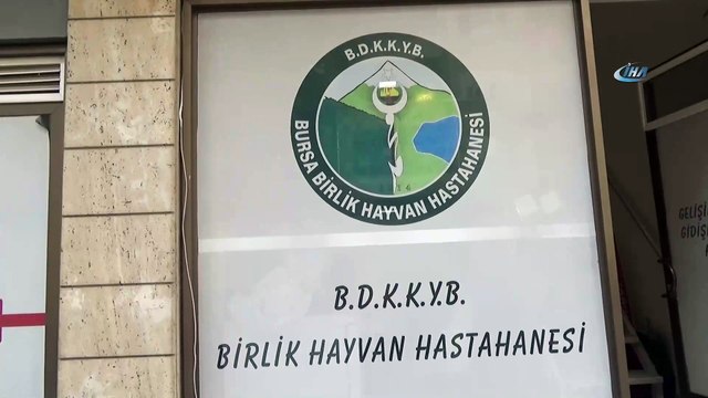 Bursa Damızlık Koyun ve Keçi Yetiştiricileri Birliği Başkanı Yıldırım Oran:'Şarbon hastalığının bir çok noktada görülmesi Türkiye üzerinde bir operasyon ihtimalini akla getiriyor'