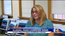 'Want Open Borders': Fake Political Signs Target Virginia Democrat