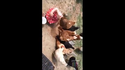 Cute Baby Girl Feed & Love The Chicken By Her Way