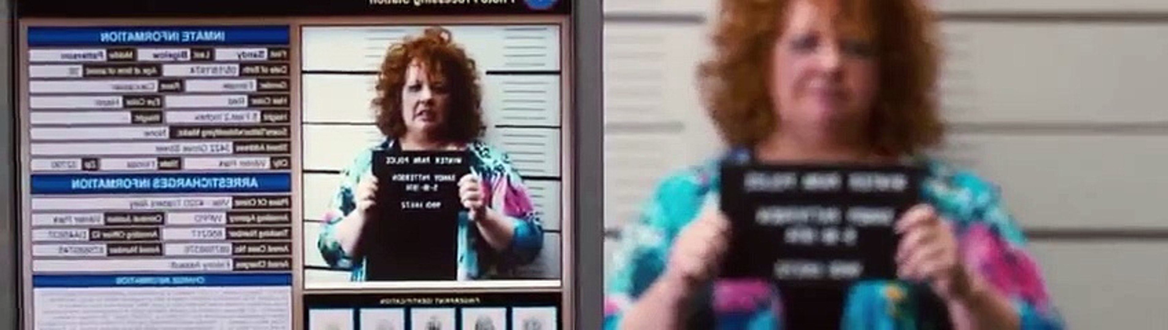 Identity Thief P 01 part 1 2 video Dailymotion