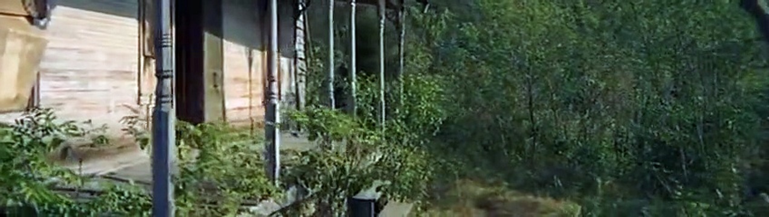 I Walk The Line   P 02