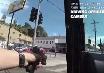 LAPD Release Footage From Los Angeles Trader Joe's Shooting