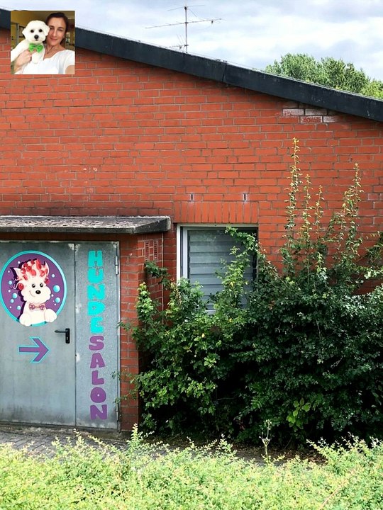 Hundesalon ziborich - ihr hundefriseur  für schwarzenbek, büchen, geesthacht, reinbek, lauenburg, mölln, trittau, hamburg bergedorf