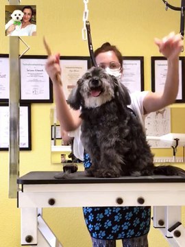 HUNDESALON ZIBORICH -HUNDEFRISEUR FÜR SCHWARZENBEK - GESCHENKGUTSCHEINE FÜR GROSSRAUM HAMBURG, BERGEDORF, REINBEK, GEESTHACHT, LAUENBURG, MÖLLN, BOIZENBURG, RATZEBURG UND UMGEBUNG