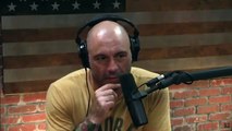 Joe Rogan - What Happens If A Rattlesnake Bites You?