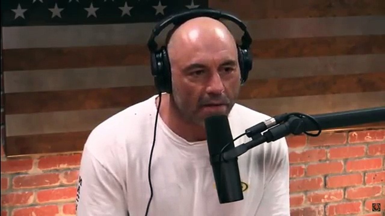 Joe Rogan - Why Are People Fat And Lazy?