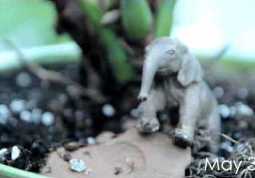 Father Documents Son's First Year With One Second per Day