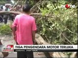 Truk Tabrak Pohon, 3 Pengendara Motor Terluka