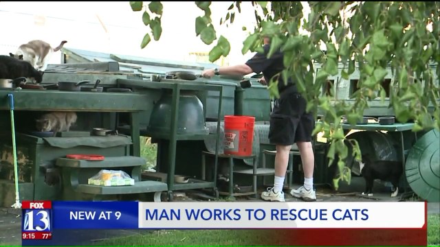 Utah Man Who`s Cared for Dozens of Feral Cats Recieves Big Gift