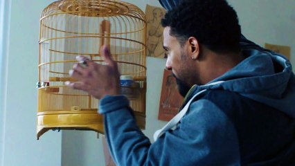 The Breeding - Official Trailer