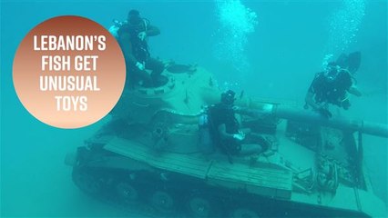Lebanon's new fish tanks: They're not what you think
