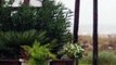 Storm Gordon kills one after tree collapses onto trailer in Pensacola, Florida