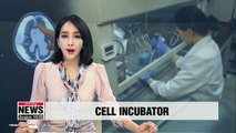 Korean researchers develop incubator-like culture system for brain cells