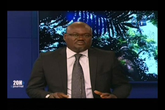 RTG/Libreville abrite un atelier sous regional pour l’évaluation des ressources forestières mondiales 2020 pour l’Afrique