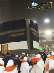 یارب مصطفٰی ﷺ تو مجھے حج پہ بلا      (Yarib Mustafa Hajj Pe Bula  )