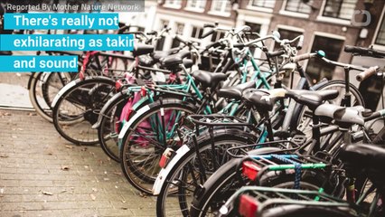 Amsterdam's Hottest Tourist Activity Is Fishing For Plastic