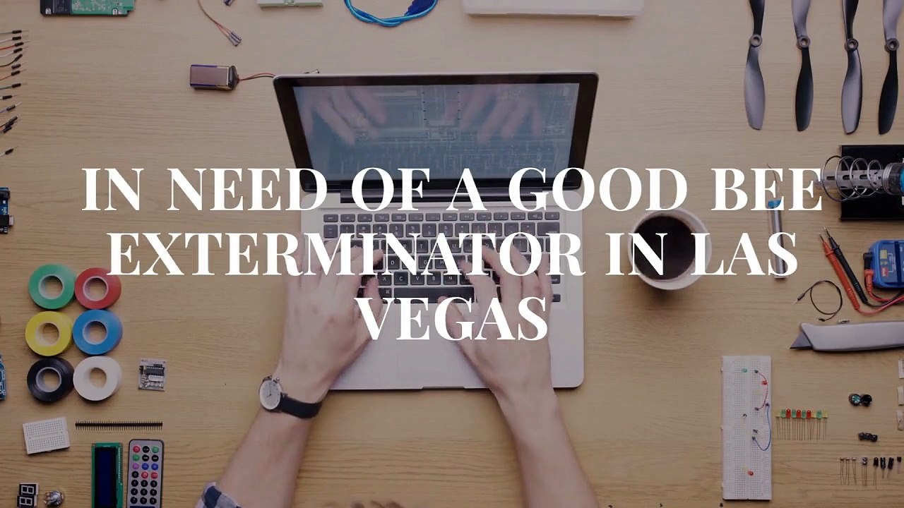 OCP Bee Removal in Las Vegas NV