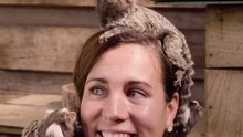 Playful Common Marmosets Demand Attention From Zookeeper
