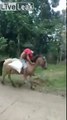 Gueule de bois - il rentre à cheval ivre le lendemain... c'est le cheval qui le rentre !