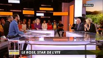 Fan de rosé pendant l'été ? Mais savez-vous vraiment ce que vous buvez ? Regardez