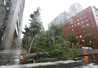 Japon : au moins 6 morts après le passage d'un puissant typhon
