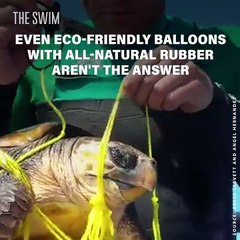 How this sea turtle survived a balloon