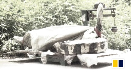 Giant fugitive crocodile caught in China