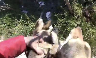 E-5 Karayolu’nda “insanlık ölmemiş” dedirten olay