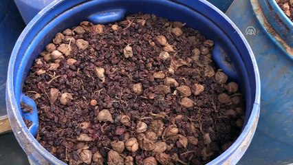 Sahte içki imalathanesine sera görünümü vermişler - MERSİN