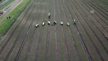 Yeşil Doğu Anadolu" İçin Mesaideler - Kars