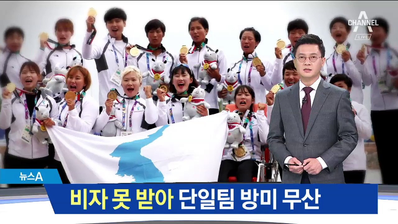 비자 못받아…카누 단일팀 미국 대회 참가 무산