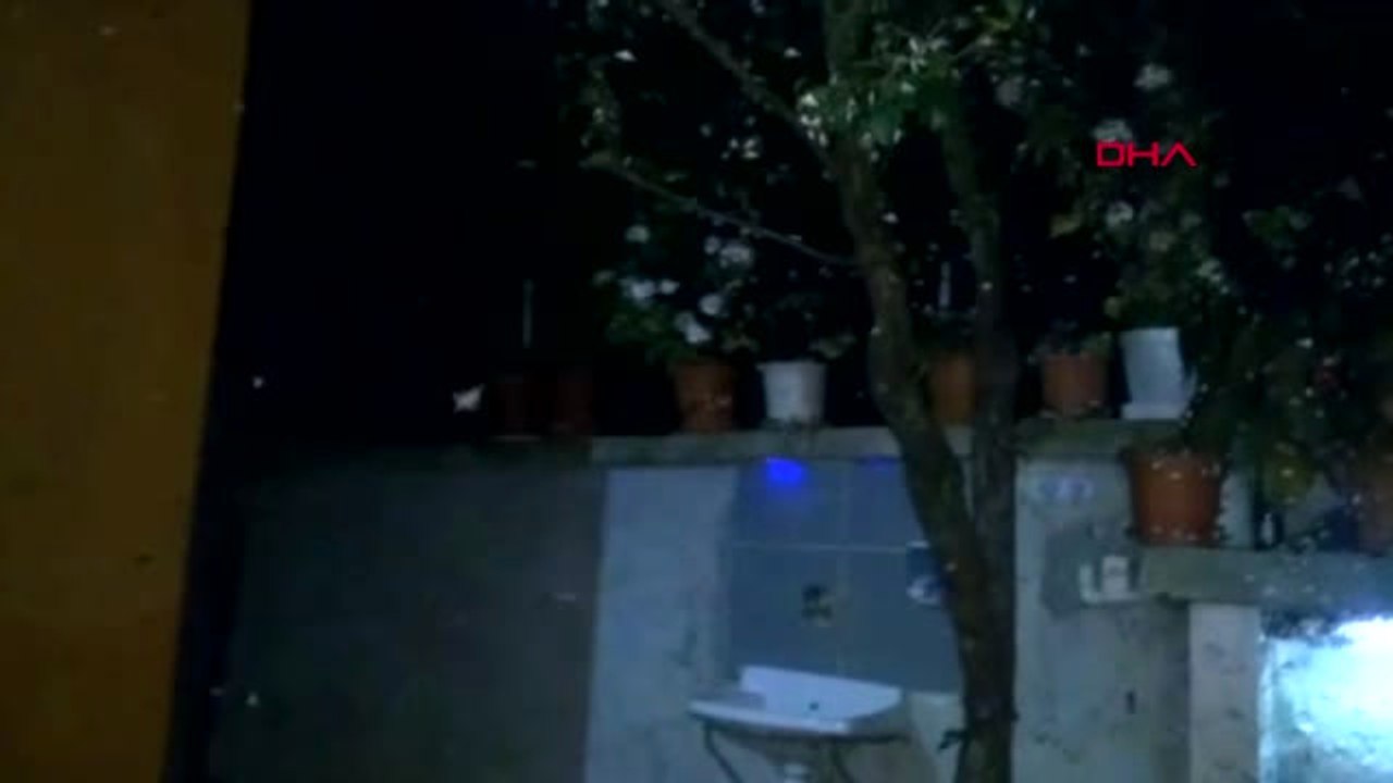 Bartın Köyü Kelebekler İstila Etti