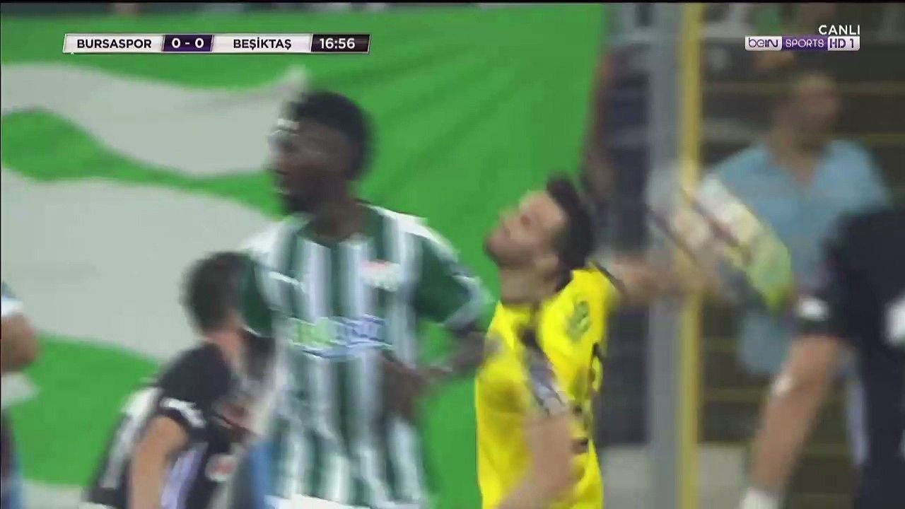saivet bjk