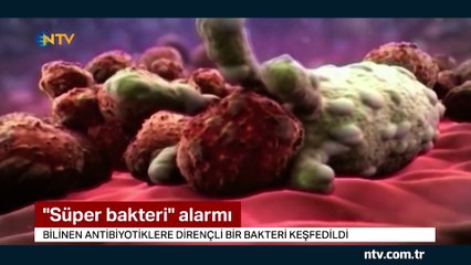 ''Süper Bakteri'' alarmı... (Bilinen tüm antibiyotiklere dirençli)