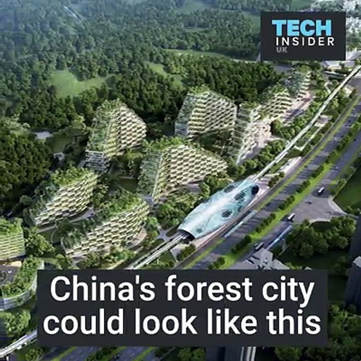 China Forest City.