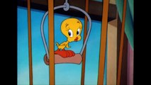 Looney Tunes - Tweety's Singing Practice - Classic Cartoon