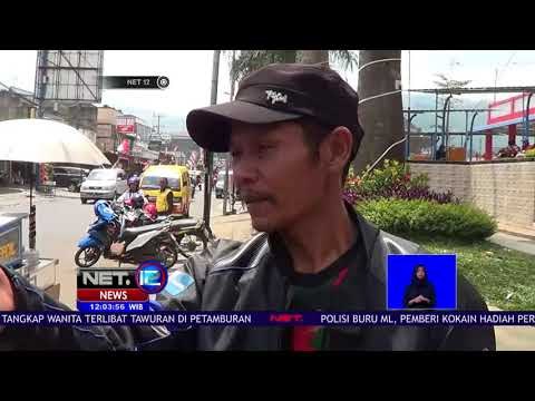 Beragam Fenomena Sapi Mengamuk Selama Idul Adha-NET12