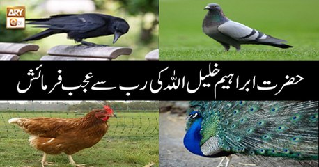 Quran suniye Aur Sunaiye - 5th September 2018 - ARY Qtv